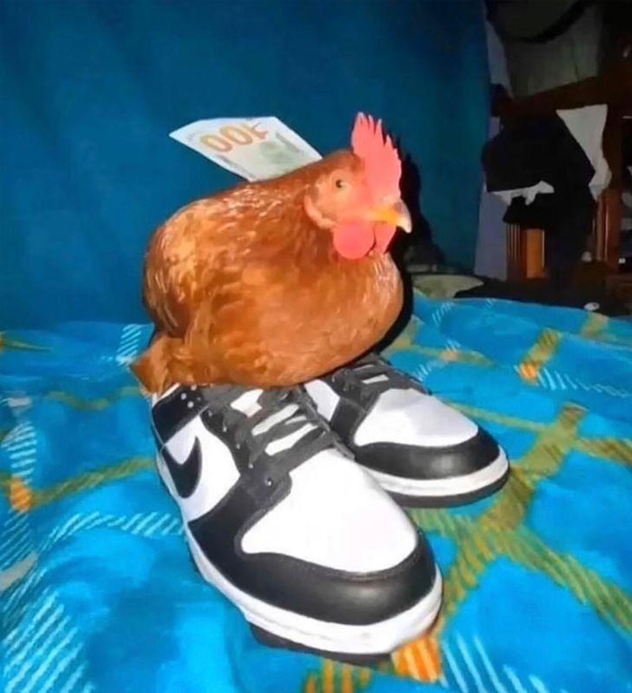 Goofy Ahh Chicken on Sneakers Goes Viral