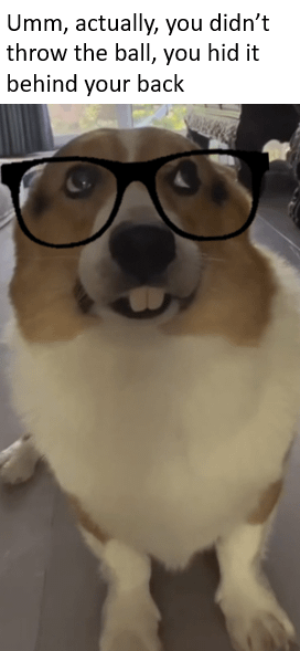 Goofy Ahh Corgi with oversized glasses