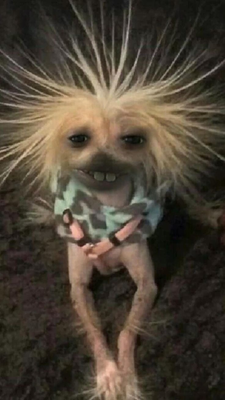 Goofy Ahh Dog Strikes a Silly Pose